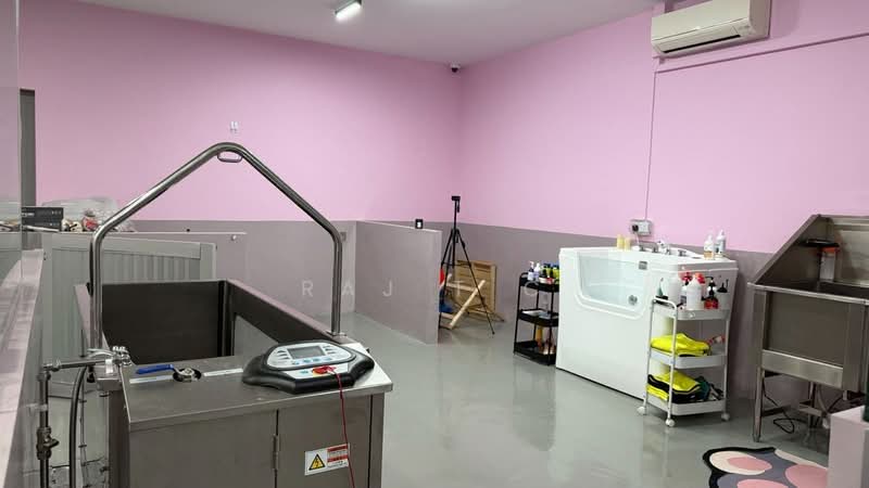 Spacious & Good Location Pet Shop for Takeover @ D20, Thomson road, 1,200 sqft, Other Retail For Rent, by Raj T C, 500166263 - Interior - CommercialGuru.com.sg