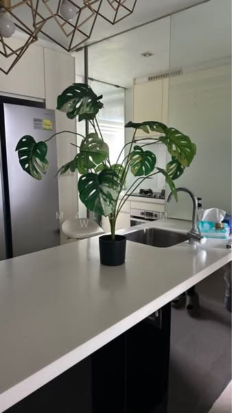 Vista Residences, 28 Jalan Datoh, Room Rental, 130 sqft, Condominium For Rent, by Malcolm Wong, 500166340 - Kitchen - PropertyGuru.com.sg