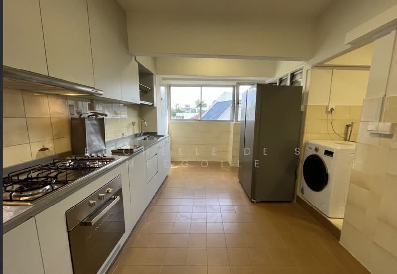 Chancery Court, 36A Dunearn Road, 3 Bedrooms, 2,034 sqft, Condominium For Rent, by Rochelle De S Meegolle, 500166347 - Kitchen - PropertyGuru.com.sg