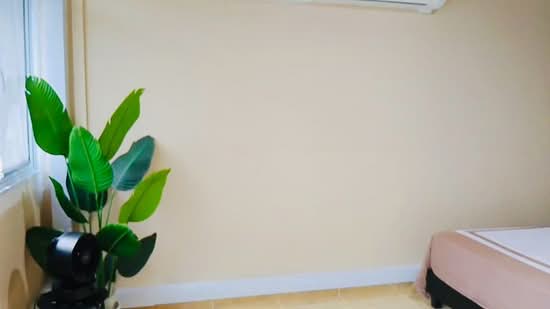864 Jurong West Street 81, 864 Jurong West Street 81, Room Rental, 200 sqft, HDB Flat For Rent, by Tommy Lau, 500166449 - PropertyGuru.com.sg