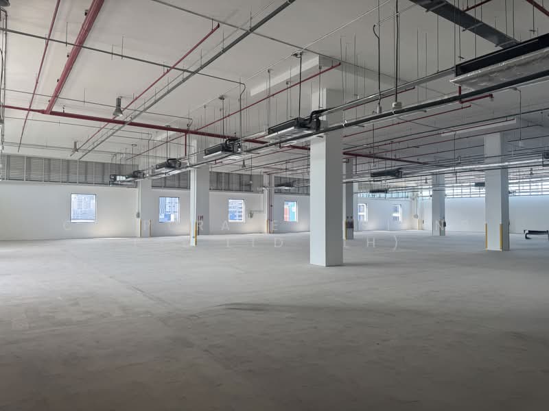 Toh Guan warehouse near IMM, , 39,000 sqft, Warehouse For Rent, by HO LI LI, 500166478 - Interior - CommercialGuru.com.sg