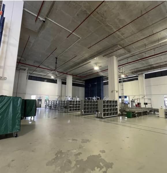 Tampines Industrial Park, 9005 Tampines Street 93, 70,000 sqft, Factory / Workshop (B2) For Rent, by Eva Ng, 500166648 - Interior - CommercialGuru.com.sg