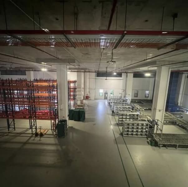 Tampines Industrial Park, 9005 Tampines Street 93, 70,000 sqft, Factory / Workshop (B2) For Rent, by Eva Ng, 500166648 - Interior - CommercialGuru.com.sg