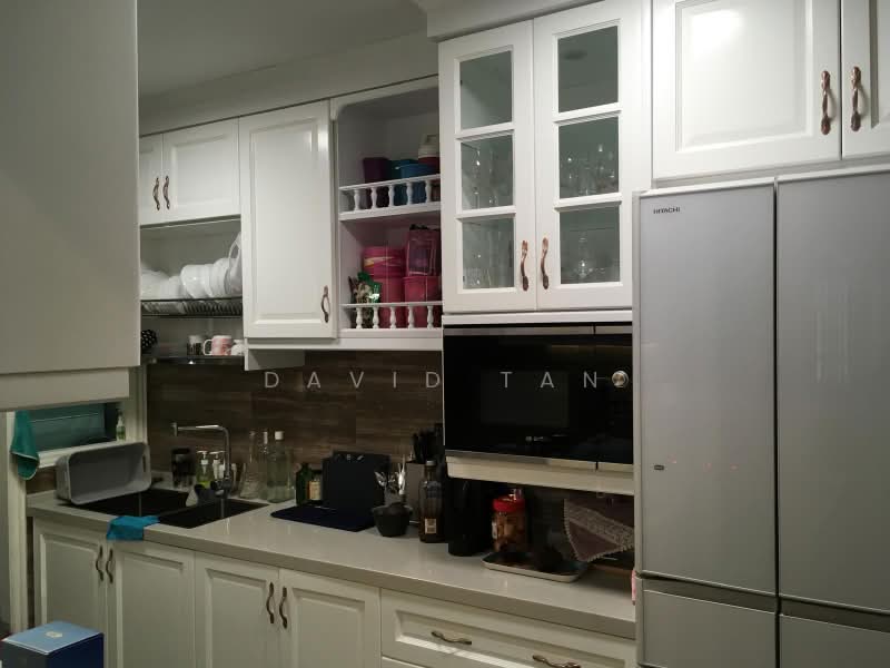Sallim Lodge, 20 Sallim Road, Room Rental, 120 sqft, Apartment For Rent, by David Tan, 500166702 - Kitchen - PropertyGuru.com.sg