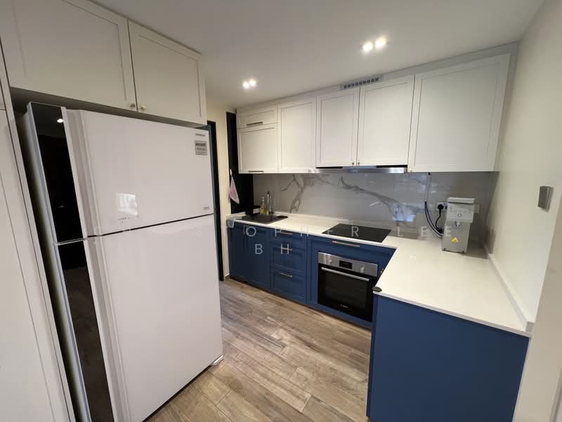 River Place, 62 Havelock Road, 3 Bedrooms, 1,313 sqft, Condominium For Rent, by Christopher Lee BH, 500166745 - Kitchen - PropertyGuru.com.sg