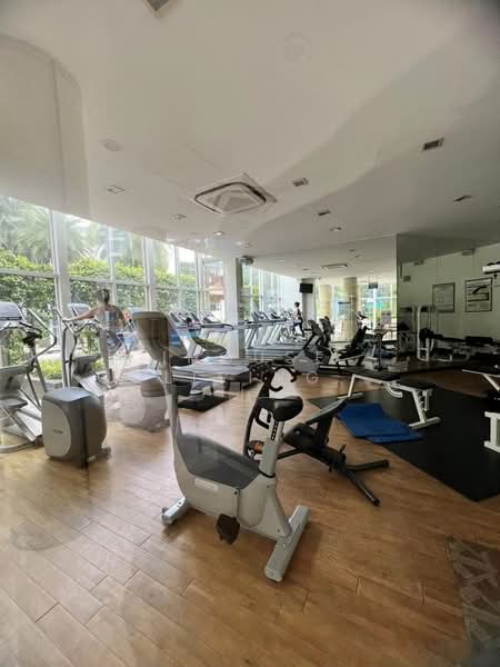 Blue Horizon, 21 West Coast Crescent, Room Rental, 100 sqft, Condominium For Rent, by ROSIE, 500166762 - Gym - PropertyGuru.com.sg