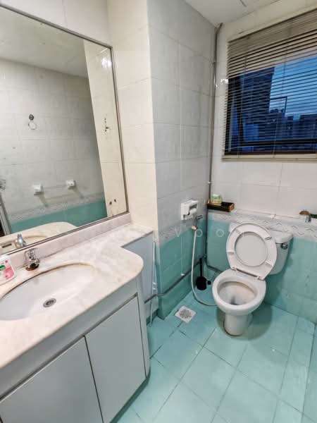 The Regalia, 2 River Valley Close, Room Rental, 200 sqft, Apartment For Rent, by Steve Voon, 500167049 - Bathroom - PropertyGuru.com.sg