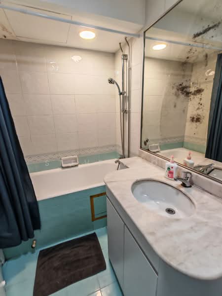 The Regalia, 2 River Valley Close, Room Rental, 200 sqft, Apartment For Rent, by Steve Voon, 500167049 - Bathroom - PropertyGuru.com.sg