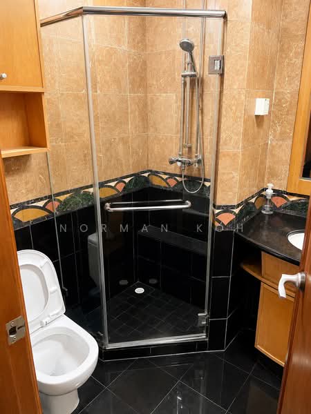 River Place, 62 Havelock Road, 3 Bedrooms, 1,302 sqft, Condominium For Sale, by Norman Koh, 500167267 - Bathroom - PropertyGuru.com.sg