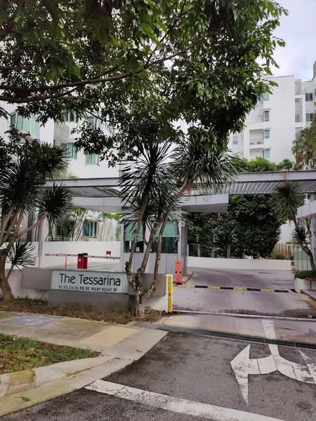The Tessarina, 20 Wilby Road, Room Rental, 100 sqft, Condominium For Rent, by ACJ HOMEMATE PTE LTD, 500167751 - Exterior - PropertyGuru.com.sg