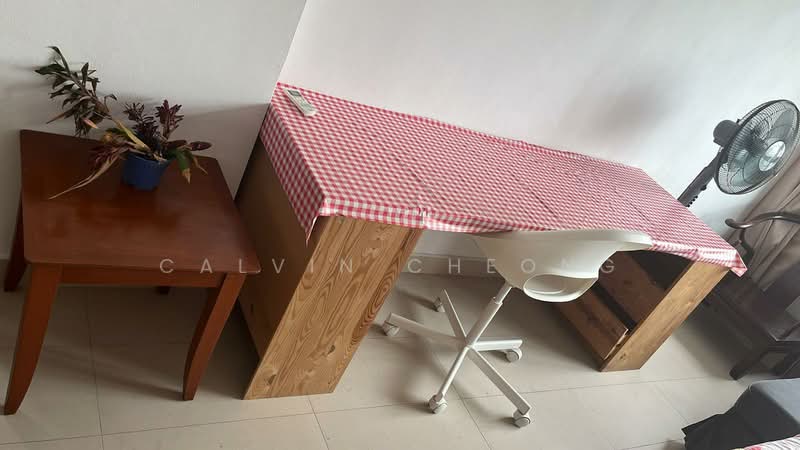 Tiara, 1 Kim Seng Walk, Room Rental, 380 sqft, Apartment For Rent, by Calvin Cheong, 500167982 - Interior - PropertyGuru.com.sg
