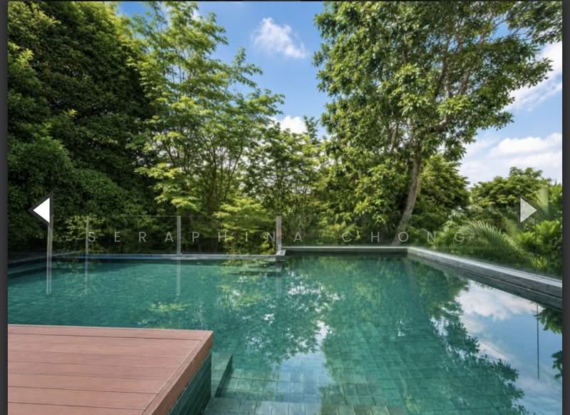 ❤️NICE ELEVATED DETACHED HOUSE⭐️1KM SCGS☎️SC98280064, Trevose Crescent/Berrima Road//Dalkeith Road/Camborne Road/Narooma Road/Harlyn Road/Merryn Road/Kheam Hock/Dunearn Estate/Tudor Close/University Road/Jalan Unggas:Watten Estate/Shelford Road/Lewis Road/Princess of Whales/Kingsmead Road/Lutheran Road, 6 Bedrooms, 6,000 sqft, Bungalow House For Sale, by Seraphina Chong, 500168101 - Pool - PropertyGuru.com.sg