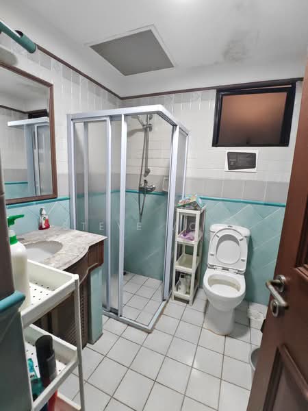 Dover Parkview, 30 Dover Rise, Room Rental, 100 sqft, Condominium For Rent, by Steve Voon, 500168314 - Bathroom - PropertyGuru.com.sg