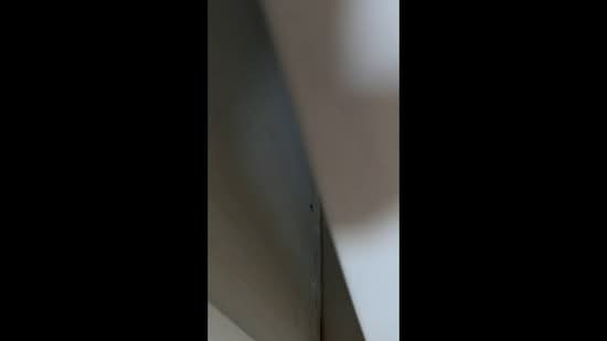 The Tapestry, 59 Tampines Street 86, Studio, 280 sqft, Condominium For Rent, by Juddy Chung S Y, 500168741 - PropertyGuru.com.sg