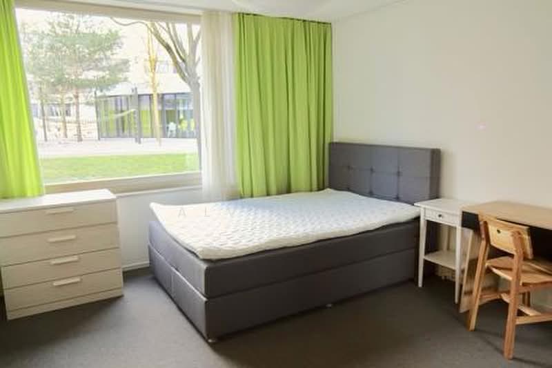 jalan usaha, Jalan Usaha, Room Rental, 150 sqft, Terraced House For Rent, by Alvin Oh, 500168789 - Bedroom - PropertyGuru.com.sg