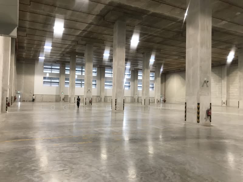 Mapletree Pioneer Logistics Hub, , 38,000 sqft, Warehouse For Rent, by Chris Ong, 500169110 - Interior - CommercialGuru.com.sg