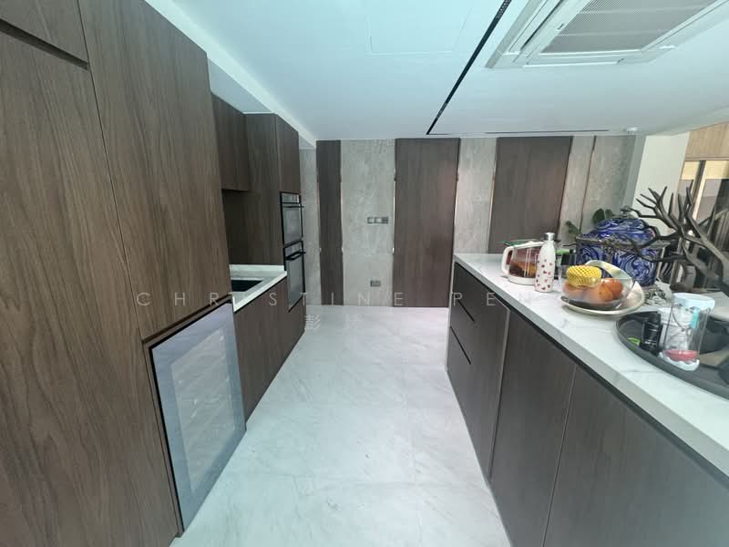 RARE! FAIRLY NEW SEMI-D ORCHARD MRT FOR SALE! NEW LISTING!, ONE TREE HILL, JALAN KELAWAR, LENGKOK MERAK, 6 Bedrooms, 9,160 sqft, Semi-Detached House For Sale, by Christine Peng 彭婷婷, 500169145 - Kitchen - PropertyGuru.com.sg