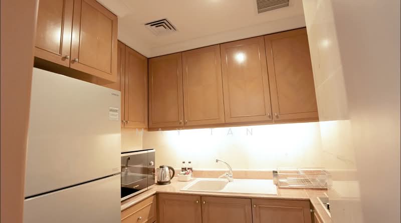 Shangri-La Apartments, 1 Anderson Road, 1 Bedroom, 300 sqft, Apartment For Rent, by May Tan, 500169268 - Kitchen - PropertyGuru.com.sg