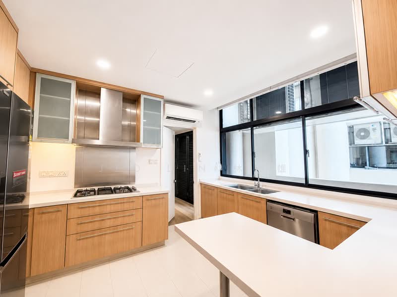 The Colonnade, 82 Grange Road, 4 Bedrooms, 3,617 sqft, Condominium For Rent, by Jed Lin 林俊雄, 500169460 - Kitchen - PropertyGuru.com.sg