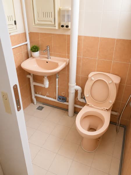 253 Jurong East Street 24, 253 Jurong East Street 24, 2 Bedrooms, 753 sqft, HDB Flat For Sale, by Malcolm Wong, 500169677 - Bathroom - PropertyGuru.com.sg