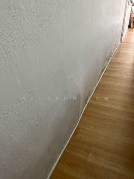 Burnfoot Terrace, Burnfoot Terrace, 1,668 sqft, Shop / Shophouse For Rent, by Ssharon Loh, 500169724 - Interior - CommercialGuru.com.sg