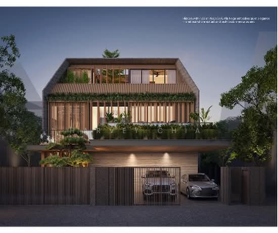 Brand new detached house in D11