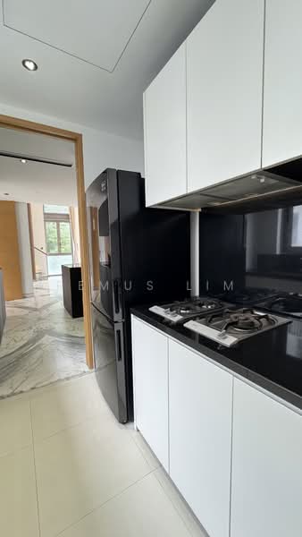 White House Residence, 67 Stevens Road, 4 Bedrooms, 3,843 sqft, Condominium For Rent, by Remus Lim, 500170201 - Kitchen - PropertyGuru.com.sg
