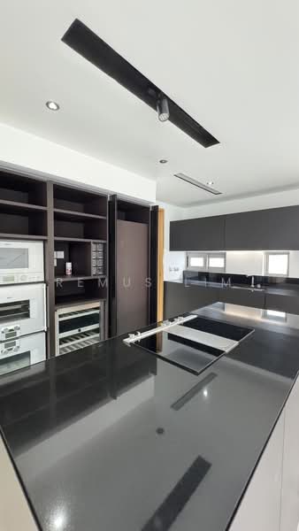 White House Residence, 67 Stevens Road, 4 Bedrooms, 3,843 sqft, Condominium For Rent, by Remus Lim, 500170201 - Kitchen - PropertyGuru.com.sg