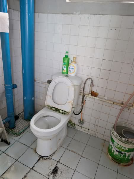 327 Serangoon Avenue 3, 327 Serangoon Avenue 3, Room Rental, 150 sqft, HDB Flat For Rent, by Patrick Ang, 500170802 - Bathroom - PropertyGuru.com.sg