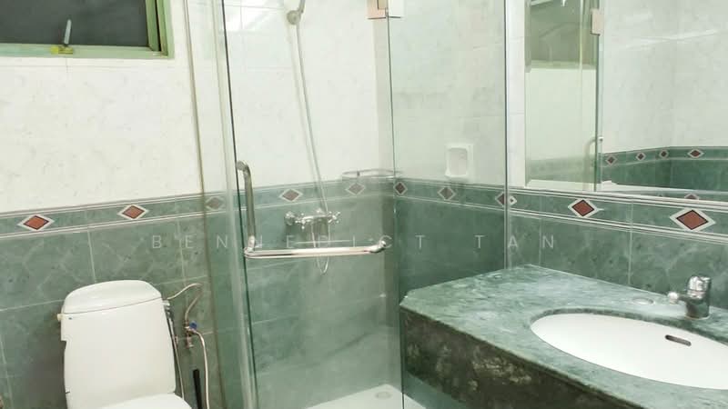 Tiara, 1 Kim Seng Walk, Room Rental, 200 sqft, Apartment For Rent, by Bennedict Tan, 500171027 - Bathroom - PropertyGuru.com.sg