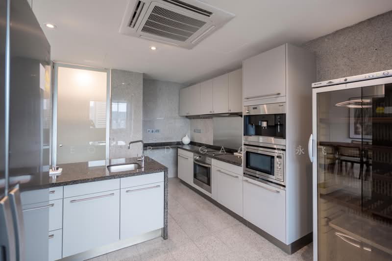 Draycott Eight, 4 Draycott Park, 4 Bedrooms, 2,896 sqft, Condominium For Sale, by Leonard Gao 高永飞, 500171667 - Kitchen - PropertyGuru.com.sg