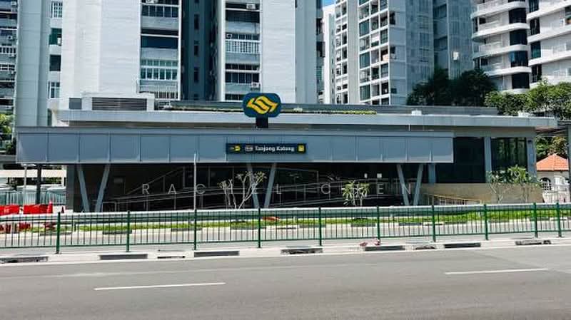 Shophouse at Tanjong Katong for sale, , 3,000 sqft, Shop / Shophouse For Sale, by Rachel Chen, 500171737 - CommercialGuru.com.sg