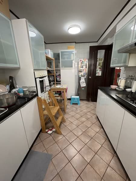 Spring Grove, 53 Grange Road, 3 Bedrooms, 1,389 sqft, Condominium For Rent, by Theresa Lee, 500171898 - Kitchen - PropertyGuru.com.sg