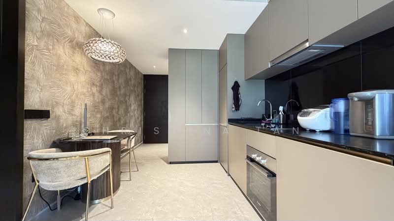 Park Colonial, 10 Woodleigh Lane, 2 Bedrooms, 667 sqft, Condominium For Sale, by Christina Tan, 500171955 - Kitchen - PropertyGuru.com.sg