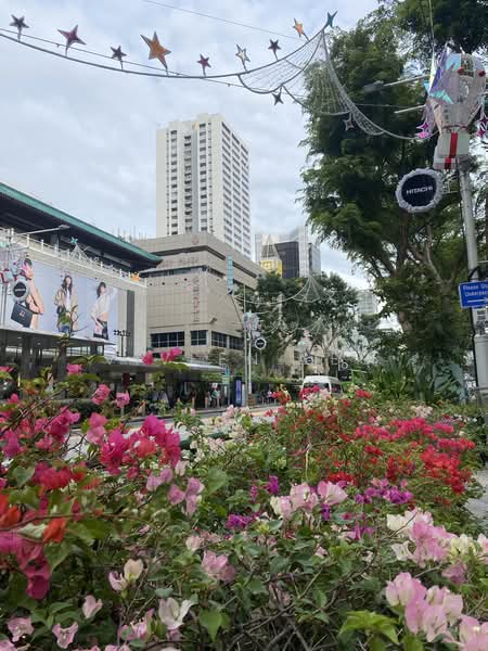Lucky Plaza, 304 Orchard Road, 316 sqft, Mall Shop For Rent, by Viveen Leo, 500172067 - CommercialGuru.com.sg