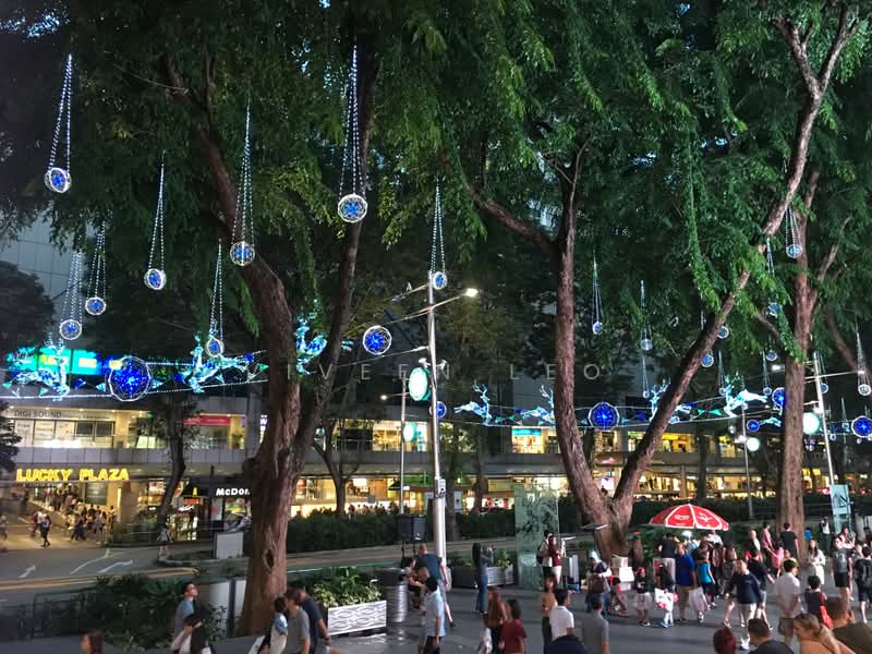Lucky Plaza, 304 Orchard Road, 316 sqft, Mall Shop For Rent, by Viveen Leo, 500172067 - CommercialGuru.com.sg