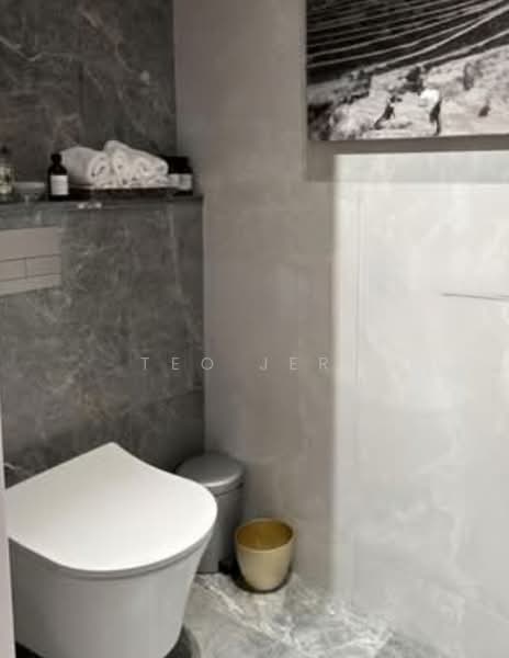 The Draycott, 50 Draycott Park, 3 Bedrooms, 2,637 sqft, Condominium For Sale, by Teo Jeri, 500172350 - Powder Room - PropertyGuru.com.sg