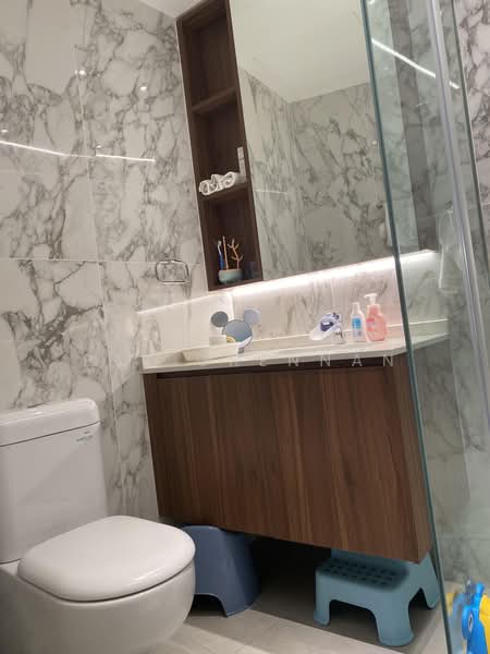 The Draycott, 50 Draycott Park, 4 Bedrooms, 2,637 sqft, Condominium For Sale, by Pat Grennan, 500172438 - Bathroom - PropertyGuru.com.sg