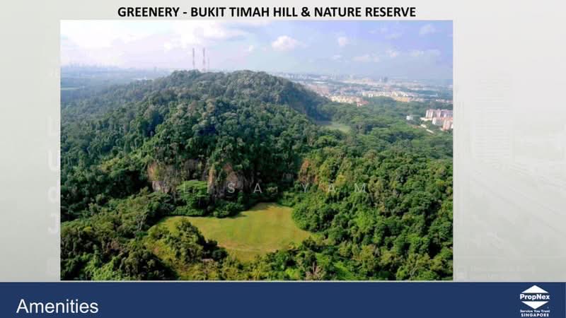 The Reserve Residences, 9 Jalan Anak Bukit, 3 Bedrooms, 1,216 sqft, Condominium For Sale, by Lisa YAM, 500172588 - PropertyGuru.com.sg
