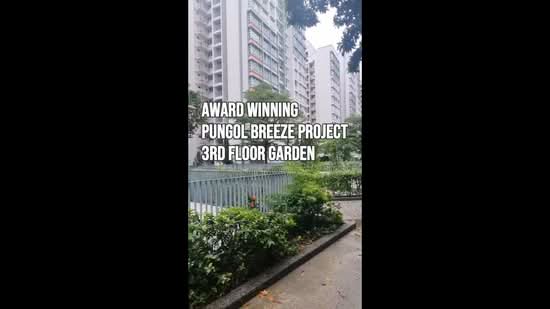 617C Punggol Drive, 617C Punggol Drive, 3 Bedrooms, 1,216 sqft, HDB Flat For Sale, by Jacent Jj Ong, 500172723 - PropertyGuru.com.sg