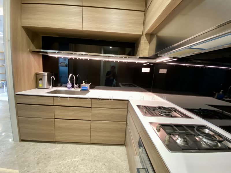 Echelon, 9 Alexandra View, 3 Bedrooms, 1,292 sqft, Condominium For Rent, by Kitson Chan, 500172772 - Kitchen - PropertyGuru.com.sg