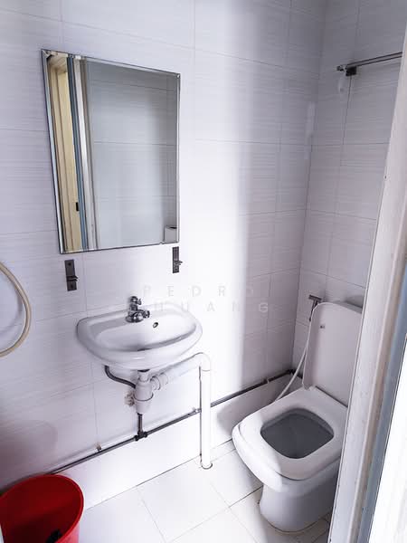 Lucky Plaza, 304 Orchard Road, 4 Bedrooms, 872 sqft, Apartment For Rent, by Pedro Chuang, 500172820 - Bathroom - PropertyGuru.com.sg
