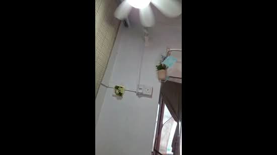 Singa Hills, 33 Jalan Singa, Room Rental, 200 sqft, Terraced House For Rent, by Alan Huy, 500172847 - PropertyGuru.com.sg