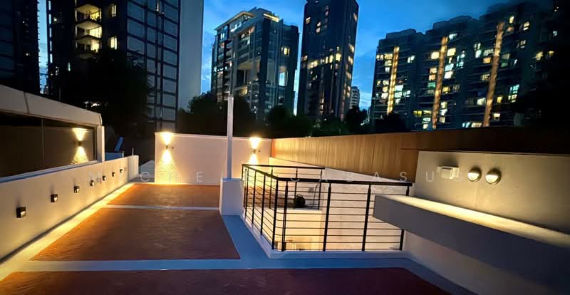 Emerald Hill Conservation Area, Emerald Hill Road, 5 Bedrooms, 6,200 sqft, Conservation House For Rent, by Michele Cabasug, 500173017 - Roof terrace - PropertyGuru.com.sg