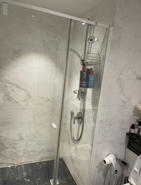 Sophia Hills, 7 Mount Sophia, 1 Bedroom, 570 sqft, Condominium For Rent, by Lawrence Goh, 500173076 - Customised Bathroom Part 3 Of 3. - PropertyGuru.com.sg