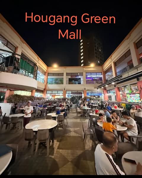 915 Hougang Street 91, 915 Hougang Street 91, Room Rental, 200 sqft, HDB Flat For Rent, by Justin Ng, 500173227 - PropertyGuru.com.sg