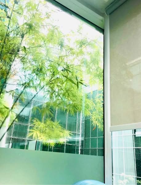 Square 2, 10 Sinaran Drive, 689 sqft, Medical For Rent, by Ssharon Loh, 500173336 - CommercialGuru.com.sg