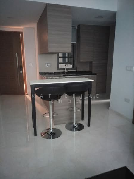 8 Saint Thomas, 8 Saint Thomas Walk, 1 Bedroom, 506 sqft, Condominium For Rent, by Katherine Khoo, 500173345 - Kitchen - PropertyGuru.com.sg