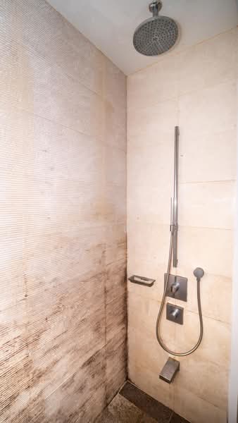 Altez, 16 Enggor Street, 1 Bedroom, 549 sqft, Condominium For Rent, by Ariel Soeigiarto, 500173381 - Bathroom - PropertyGuru.com.sg