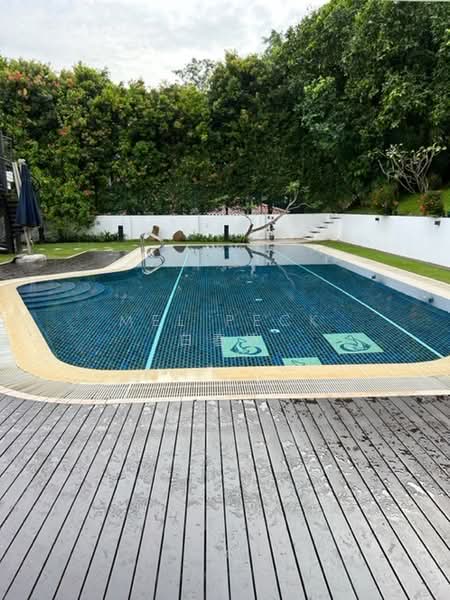 Bukit Timah/ Wilby road / Brizay Park GCB, , 5 Bedrooms, 8,000 sqft, Good Class Bungalow For Rent, by Mel Peck 白春娇, 500173440 - Pool - PropertyGuru.com.sg